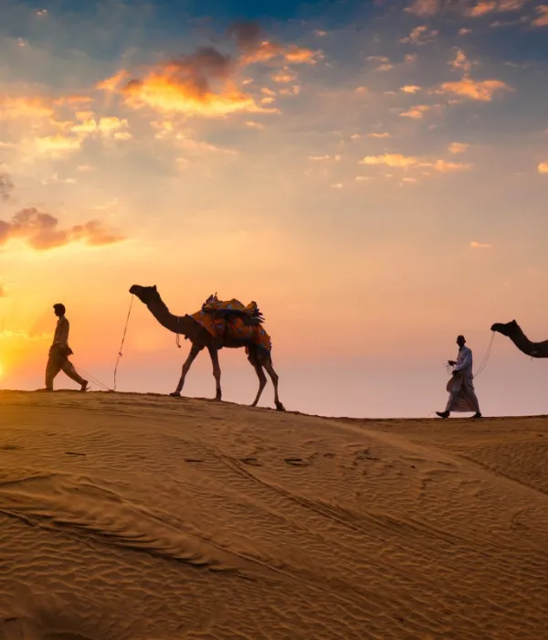 rajasthan