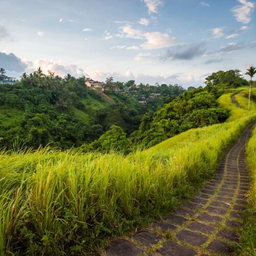 Magical Bali Tour