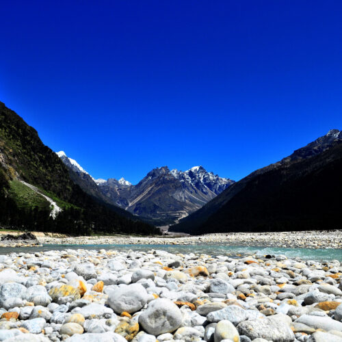 Northeast India Explorer