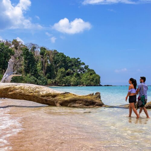Andaman Island Escape 