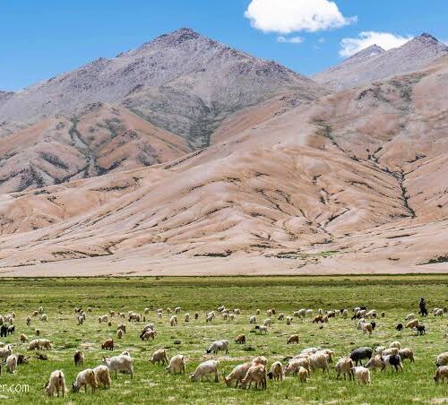 Magic of Ladakh